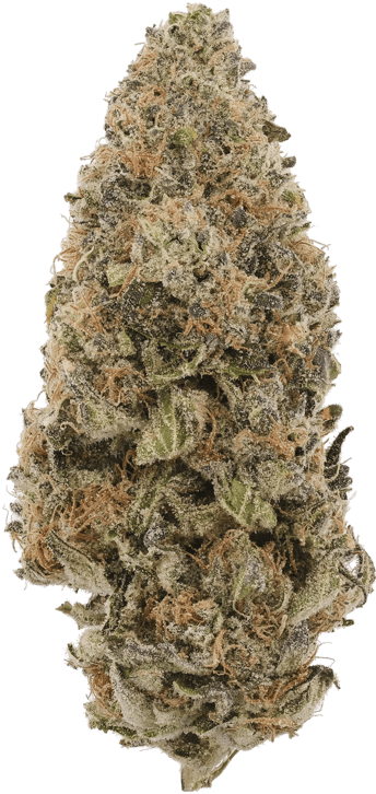 Guava Cooler image 1